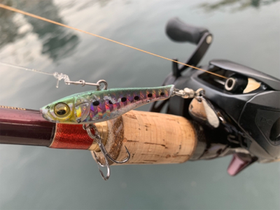 硬竿弾いてサイズダウン(°▽°)