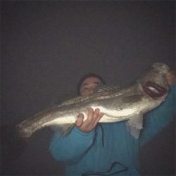 ドブ川ランカーシーバス!