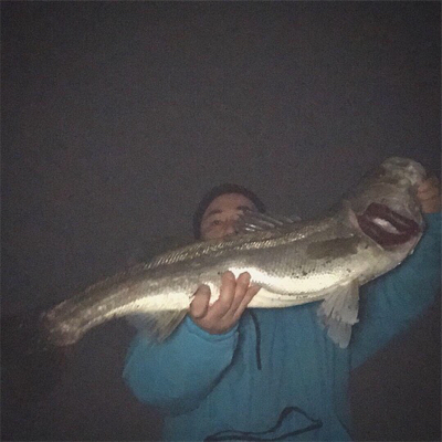 ドブ川ランカーシーバス!