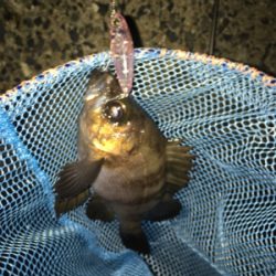 プラグできたー