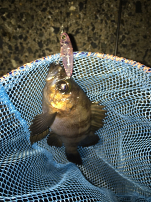 プラグできたー