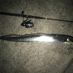 3月のドラゴン!