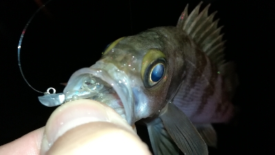 ナイトメバリング