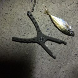 深夜ライトゲーム