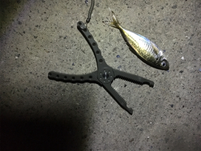 深夜ライトゲーム