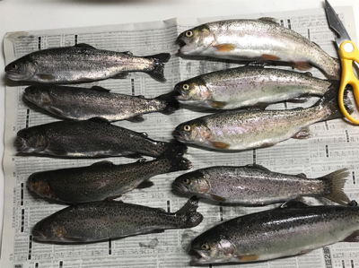 なごみ ライトエリア