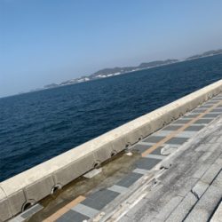 ギリギリせーふ?