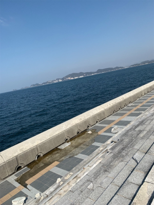 ギリギリせーふ?