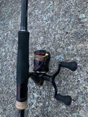 ヤリイカ釣果！