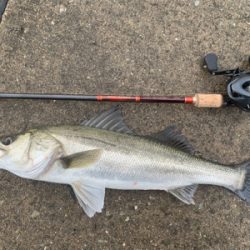 御利益フィーーーッシュ♫