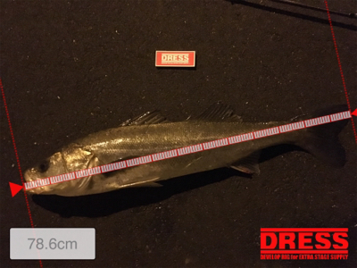 ランカーまで後少し！！