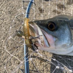 大潮３日目活性高し！？