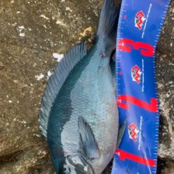 五島 沖磯 フカセ釣り