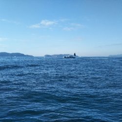 爆釣はつづく！