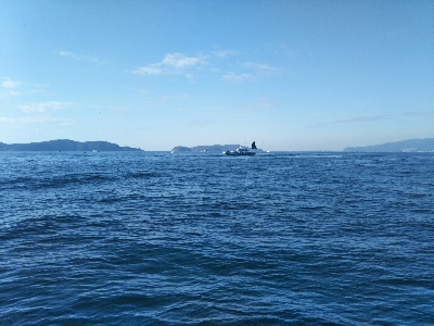 爆釣はつづく！