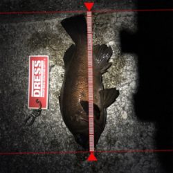 まぁまぁなサイズ