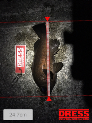 まぁまぁなサイズ