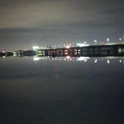 久々のチニング