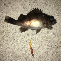 マイクロメバリング