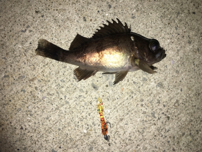 マイクロメバリング