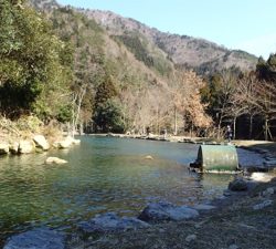 エリアトラウト