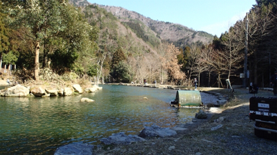 エリアトラウト