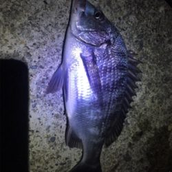 ナイトメバリング