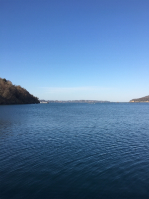 女川湾エサ釣り