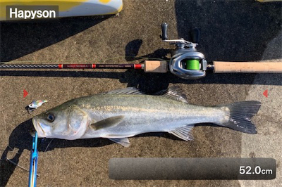 嵐明けのハンサムシーバス♫