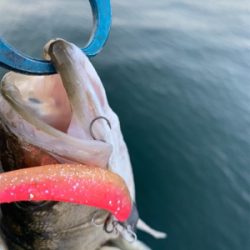 ちょっとそこのお若いの。