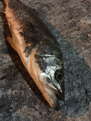 アミパターン？？