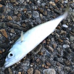 季節外れのサバゲー