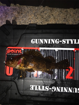 癒しのライトゲーム