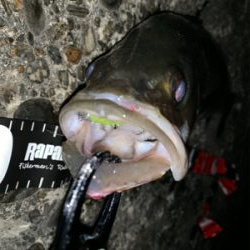 ライトタックルで。