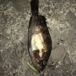 ランガンメバリング