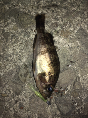 ランガンメバリング