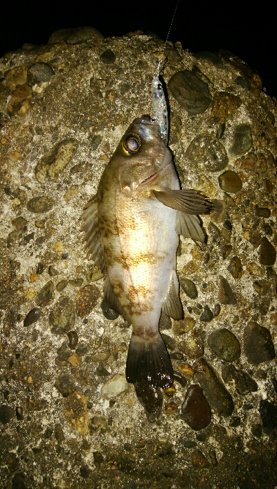 プラッキングゲーム