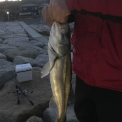 岩屋ライトゲーム