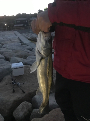 岩屋ライトゲーム