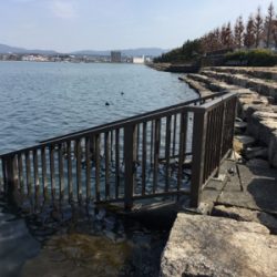 琵琶湖 釣行