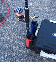 鰯が帰って来る前に