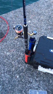 鰯が帰って来る前に