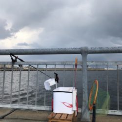 曇り時々晴れ一時雨あられ、雹