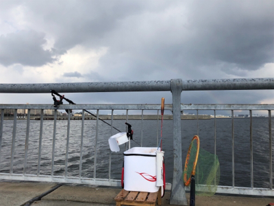 曇り時々晴れ一時雨あられ、雹