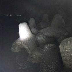 エステルジグ単ゲーム