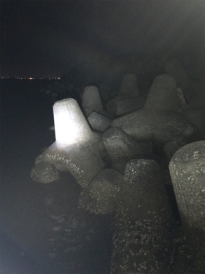 エステルジグ単ゲーム