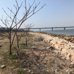 今日も難しかった