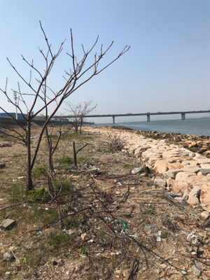 今日も難しかった