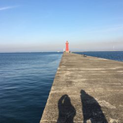 鯖を釣りました。