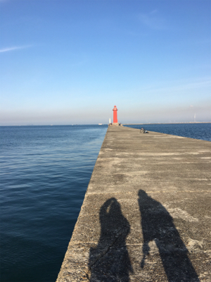 鯖を釣りました。